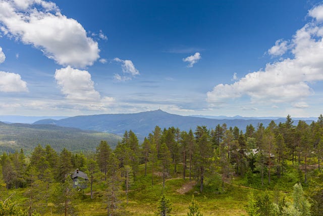 Et storslått fjellpanorama som naturlig midtpunkt. Her åpner landskapet seg med vidstrakt utsyn over skog, åser og fjell.