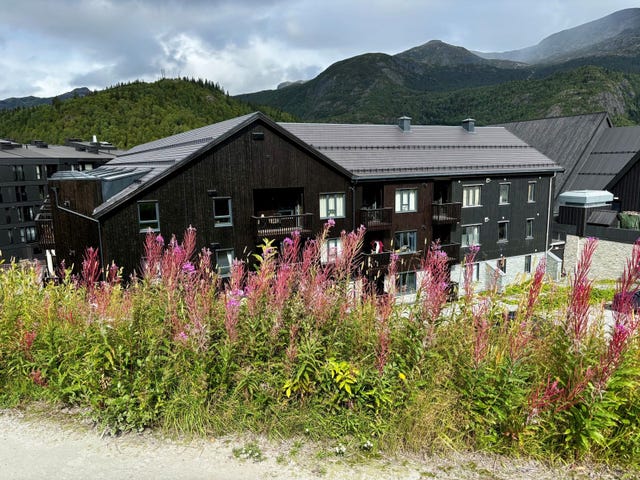Skiheisvegen 98 - Leilighet 487, Hemsedal