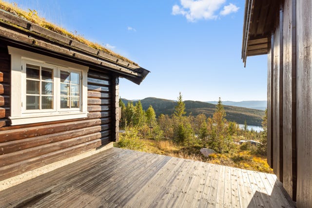 Flott utsikt ned mot Damtjern, ett av flere gode fiskevann i nærområdet.