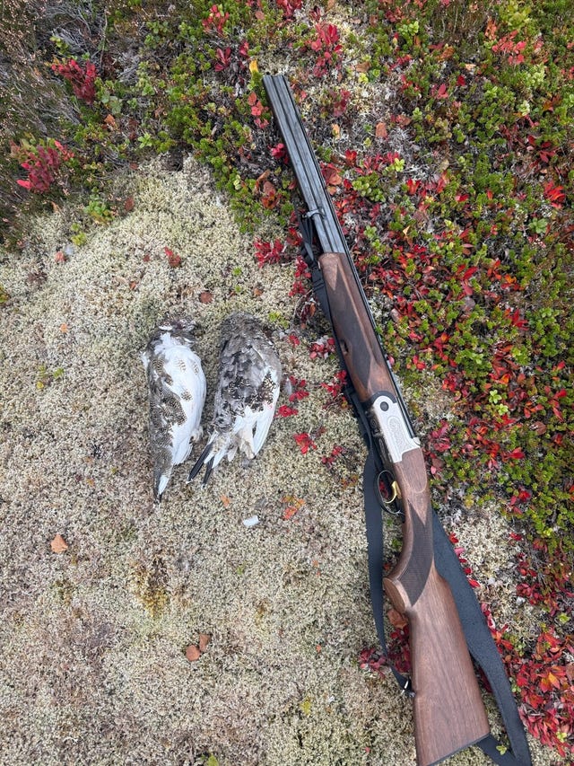 Området er helt fantastisk for jakt og fiske. Rett på andre siden av veien finner du "Hemnes 1" et yndet område for småfugljakt.