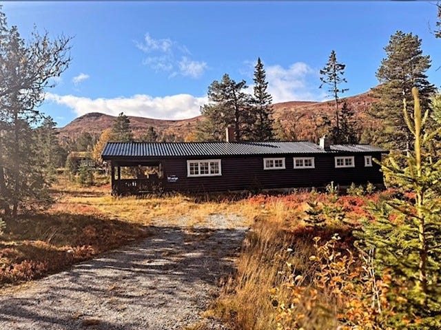 Vassendgutu 2, Flå