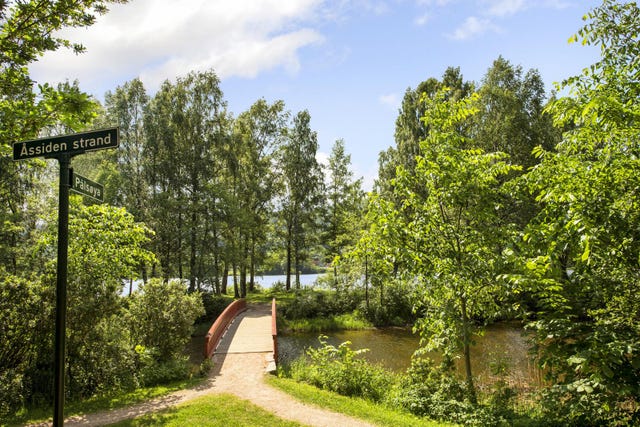 Idylliske Pålsøya er nærmeste nabo | her er sittebenker og små badestrender