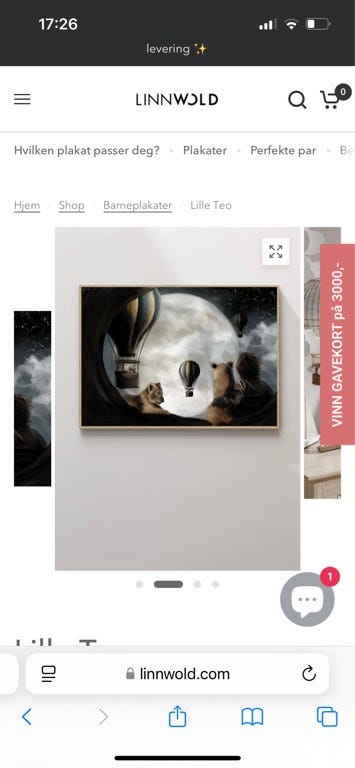 Galleribilde
