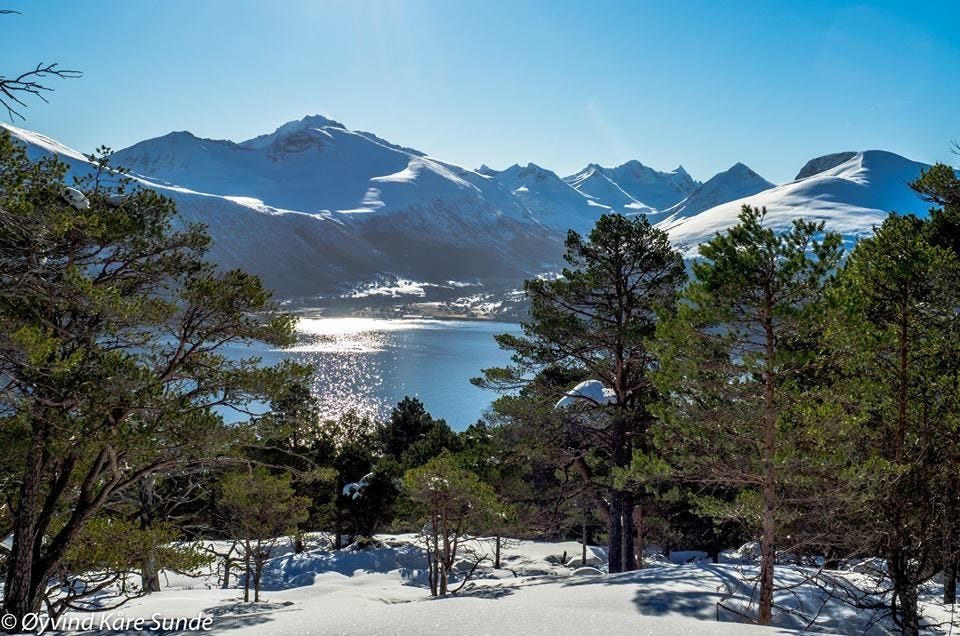 Utsikt fra Sula fjellet Galleribilde