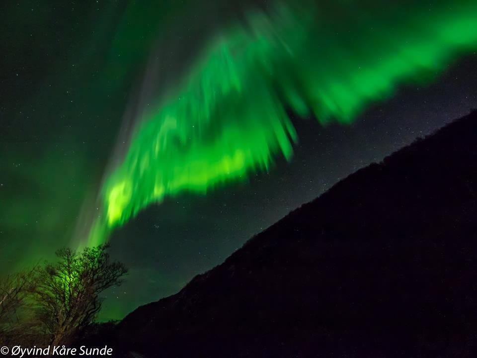 Norlys mars 2016 Galleribilde