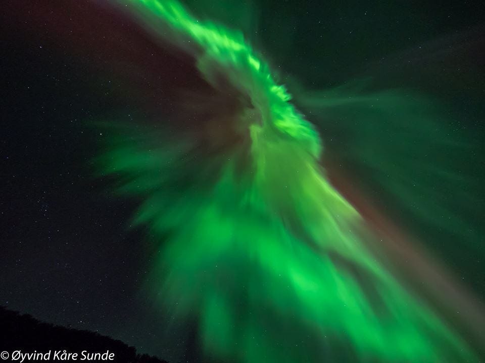 Norlys mars 2016 Galleribilde