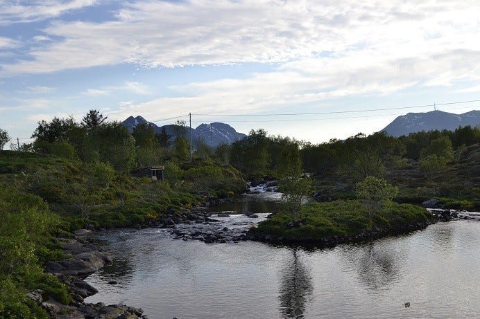 Fiskehølen Galleribilde