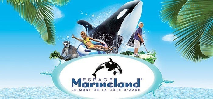 Marineland tilbyr mange kjekke aktiviteter Galleribilde