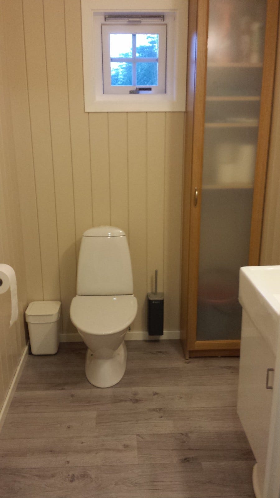 Separat toalett med vask Galleribilde