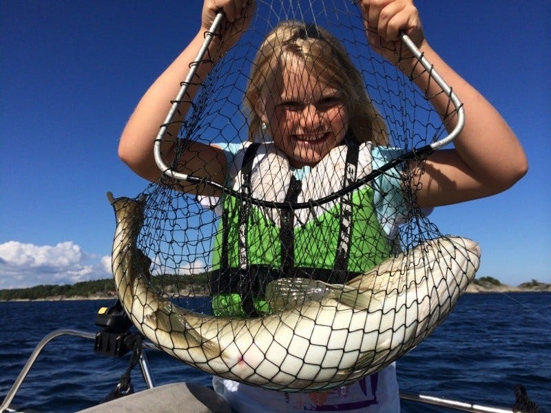 Ta med fiskeutstyr! Galleribilde