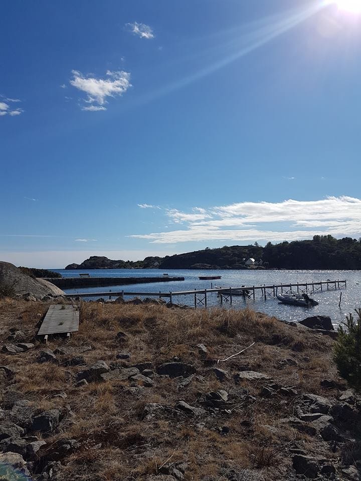 Strand og svaberg Galleribilde