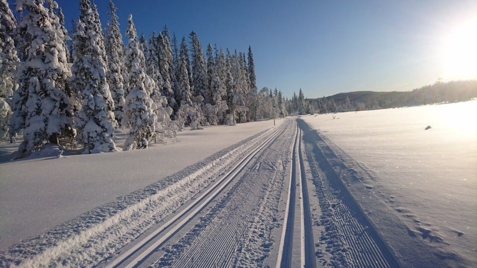 Flere mil med preparerte skiløyper Galleribilde