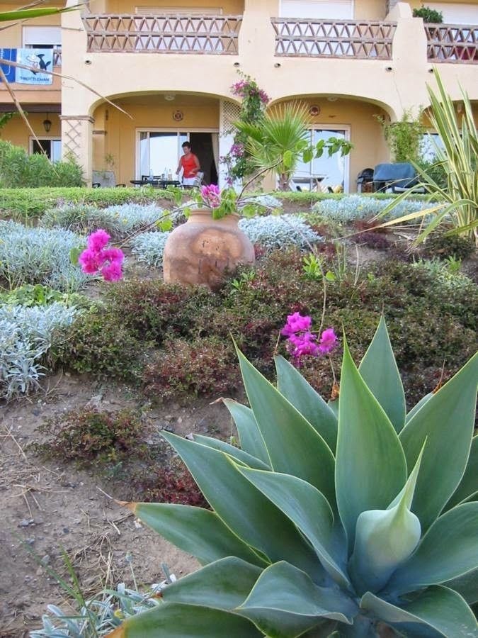 Bilde fra hagen / terrassen Galleribilde