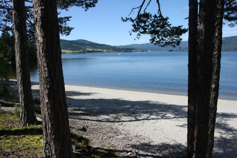 Stranda ved hytta Galleribilde