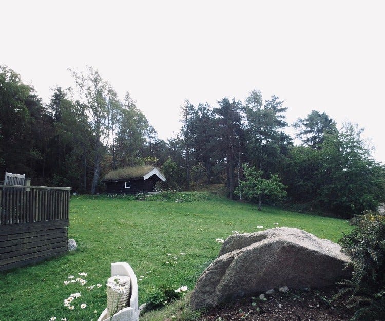 Hytta i skogen Galleribilde