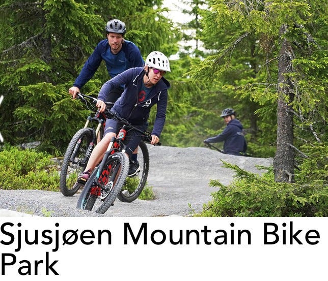 20 minutter på sykkel fra hytta Galleribilde