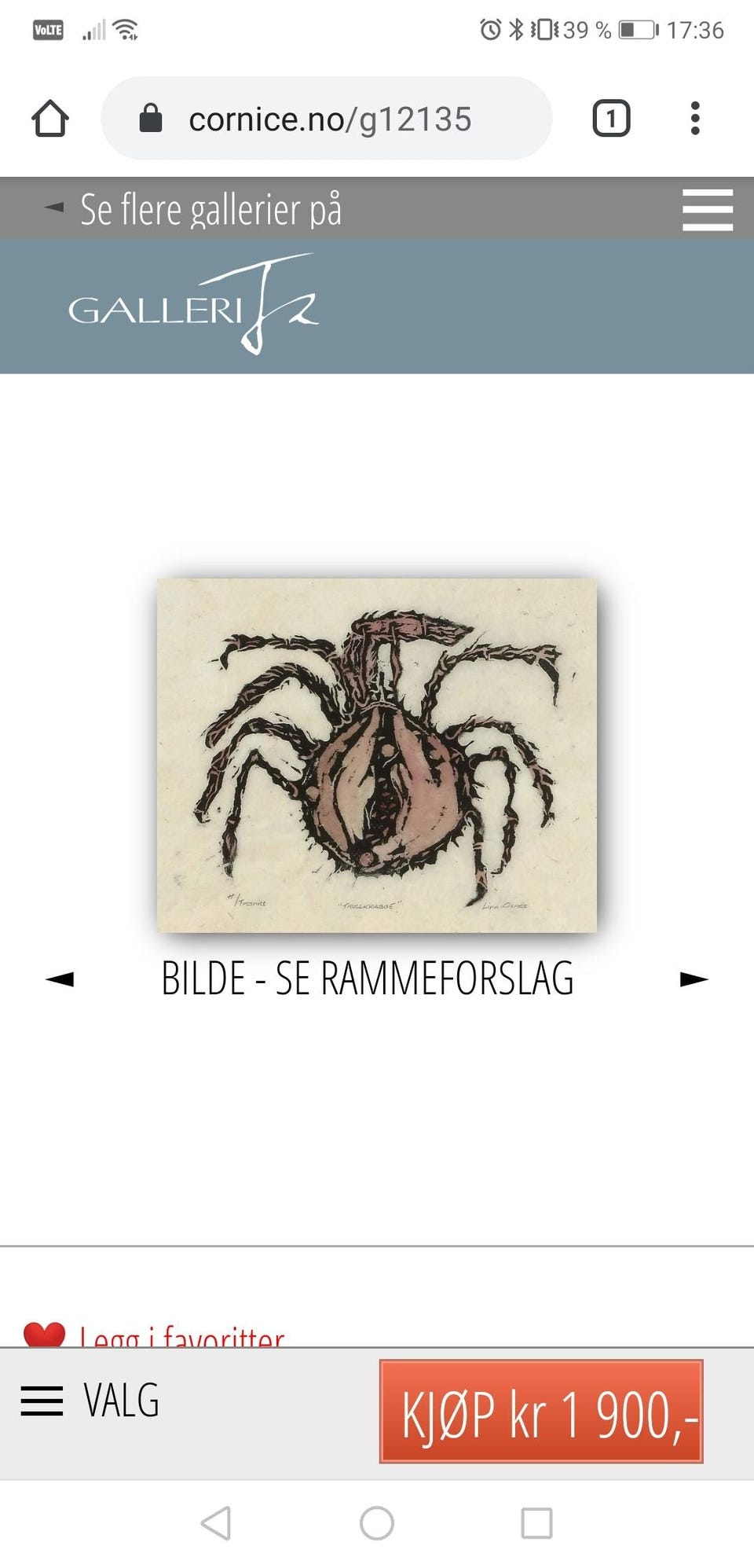 Galleribilde