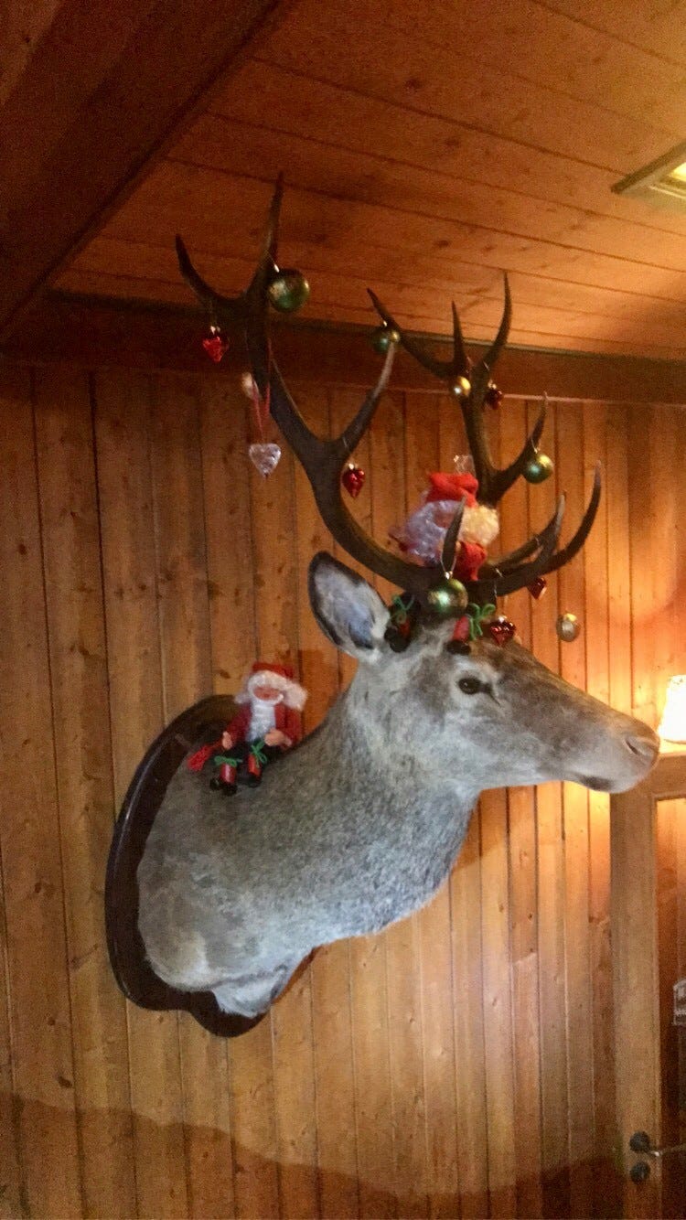 Jul på hytta (Foto: Siv Helen Lekven) Galleribilde