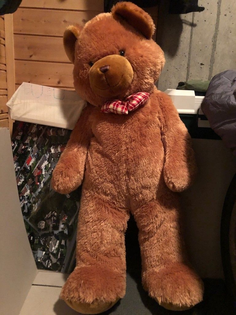 Teddybjørn jakke | FINN.no Teddybjørn jakke | FINN.no