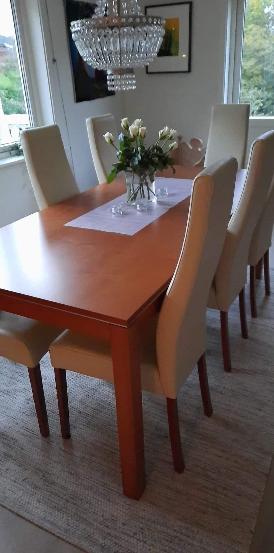 Aannø Sigma spisestue med 12 stoler og innleggsplater selges Aannø Sigma spisestue med seks stoler og innleggsplate