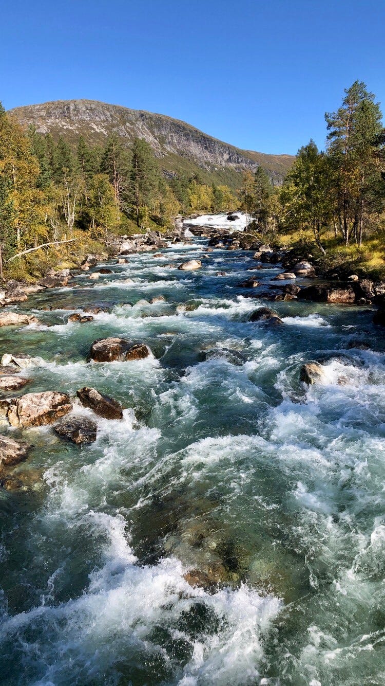 Ljosanelven (Foto: Siv Helen Lekven) Galleribilde