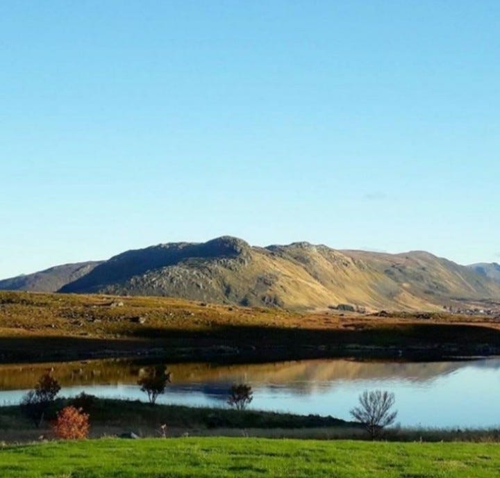 Ettermiddagssola en høstdag. Galleribilde