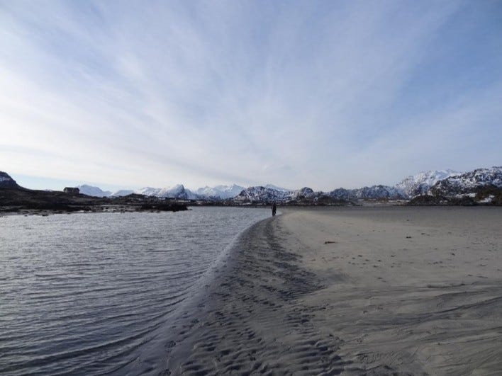 Fra langfjæra utenfor Nesjeøya. Gangavstand fra huset. Galleribilde