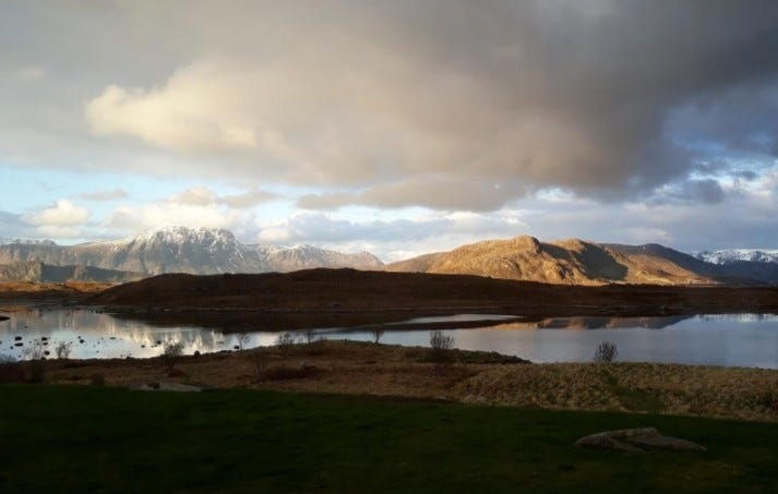 Kveldsstemning. Galleribilde