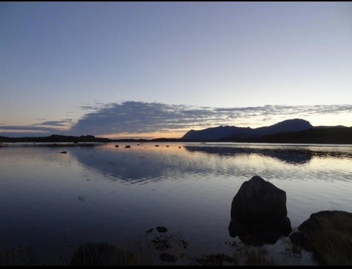 I fjæra nedenfor huset. Galleribilde