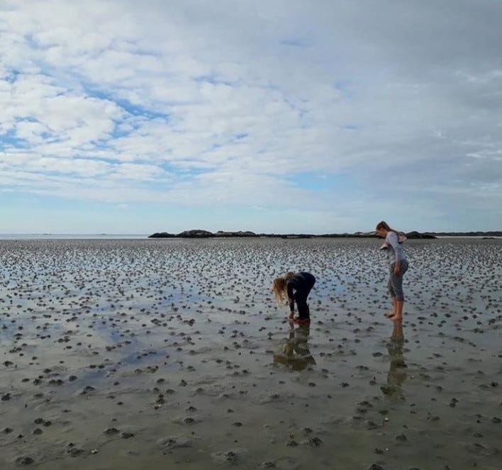 Midtsommers på langfjæra. Galleribilde