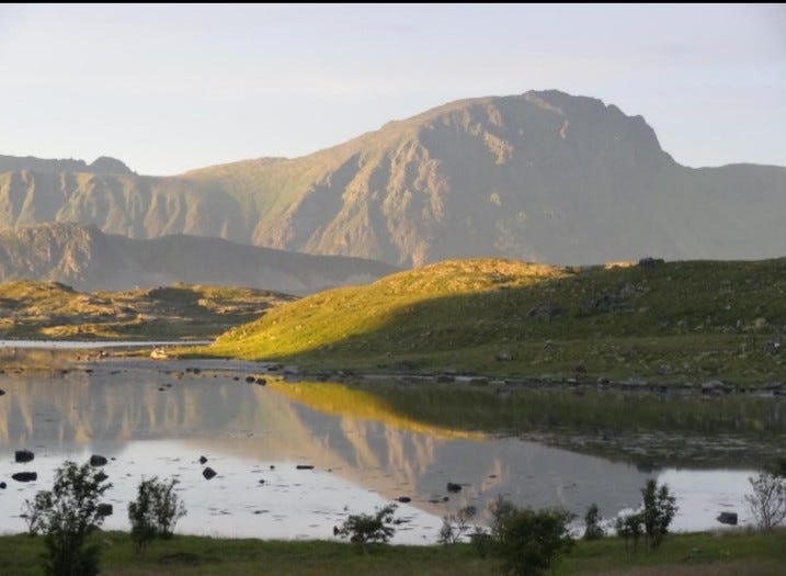 En augustkveld. Galleribilde