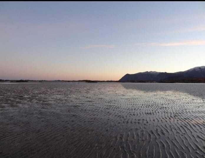 Langfjæra. Galleribilde