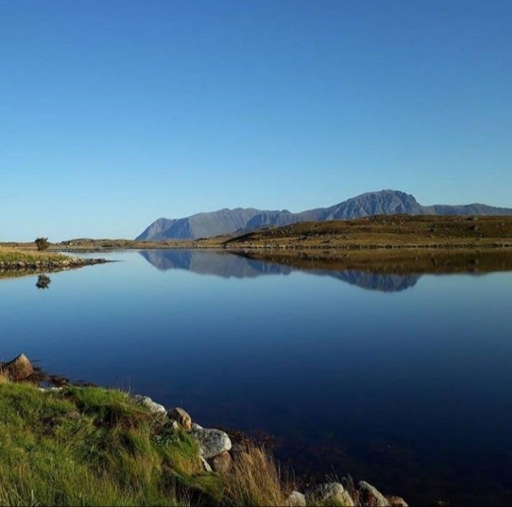 På eiendommen. Galleribilde