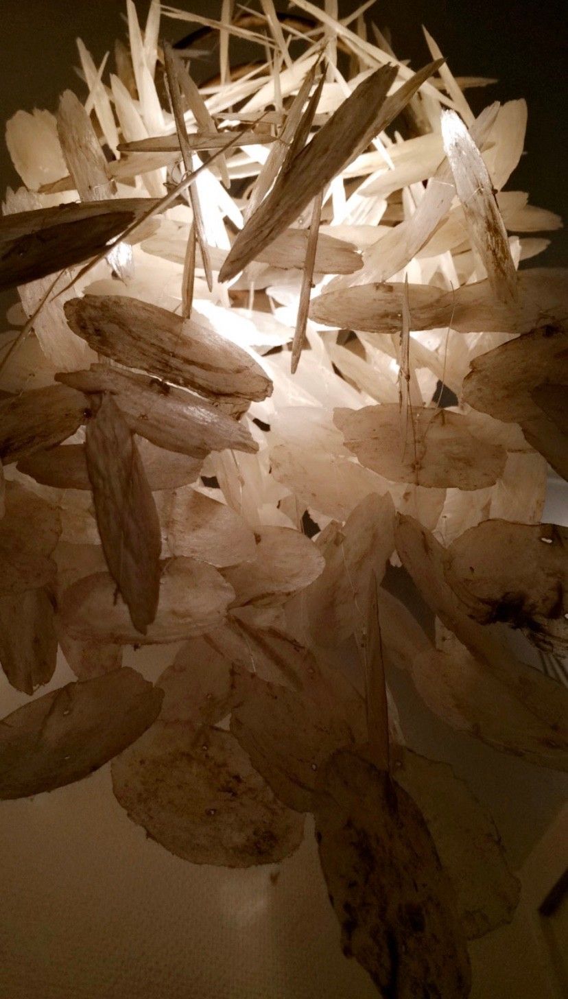 Skjell taklampe selges grunnet flytting | FINN.no Skjell taklampe. | FINN.no
