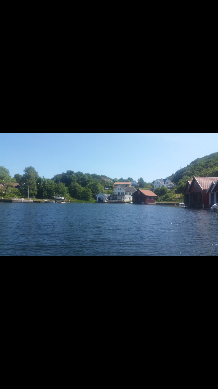 Nær sjøen Galleribilde