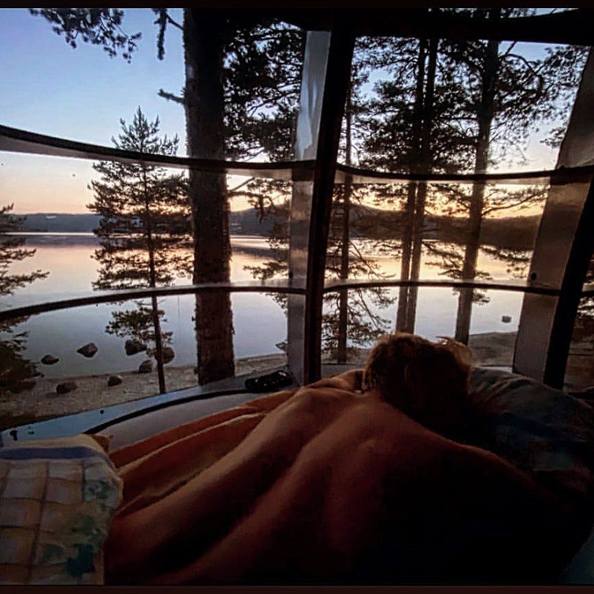 Sove i tretopphytta Galleribilde