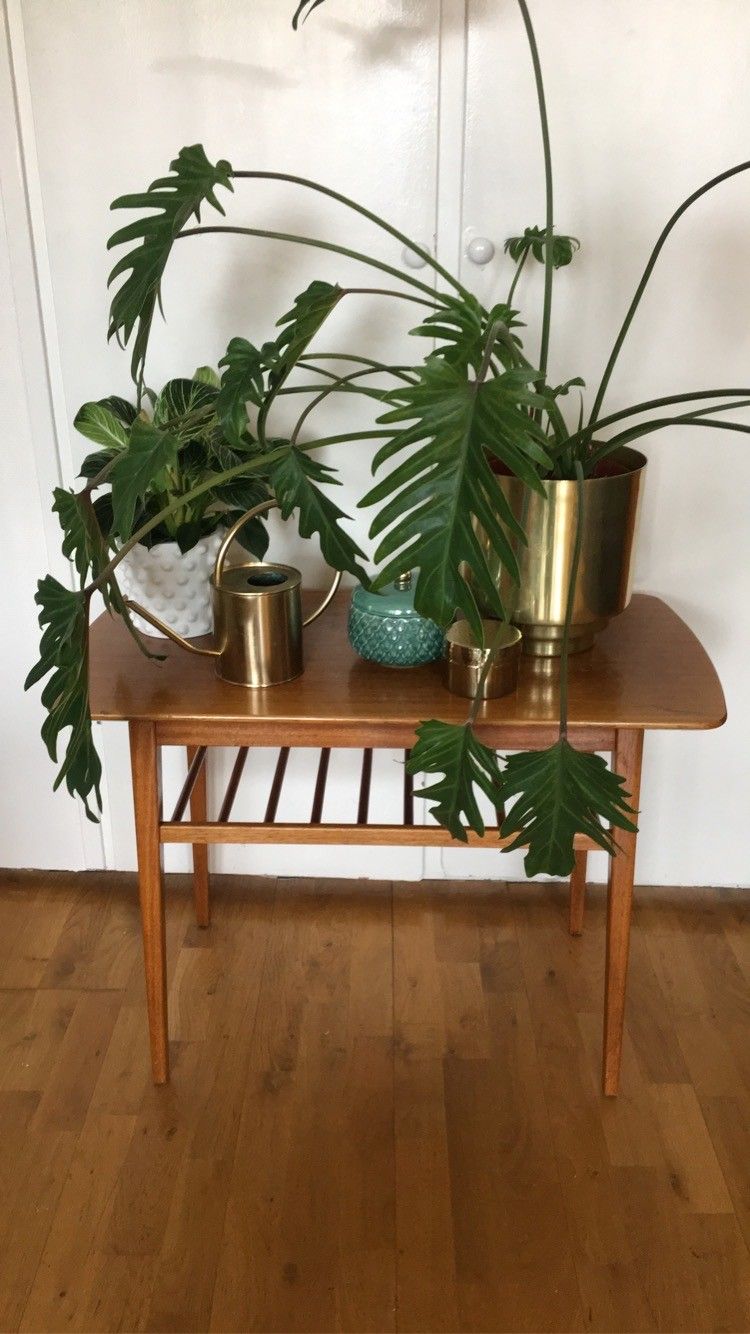 Teak salongbord | FINN.no Teak salongbord i god stand | Salongbord, Spisebord, Leilighet
