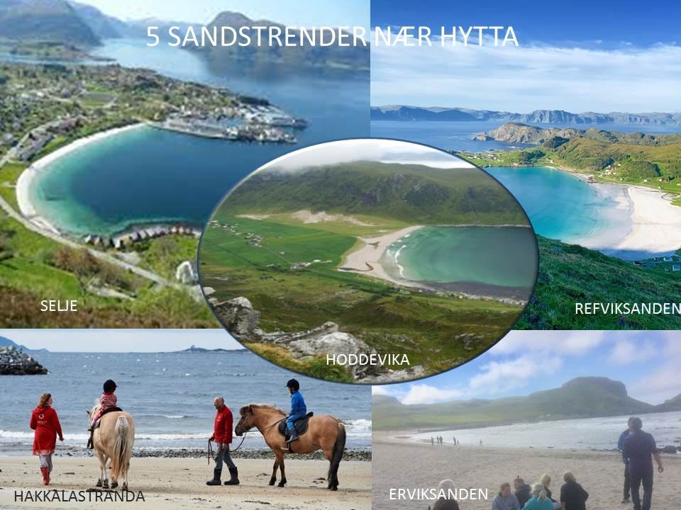 Mange badestrender i nærområdet Galleribilde