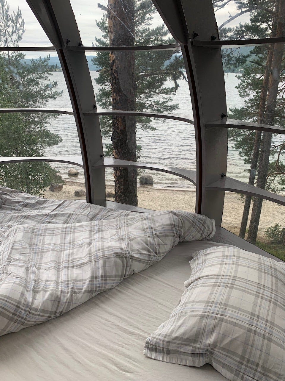 Deilig å våkne opp i tretopphytta Galleribilde