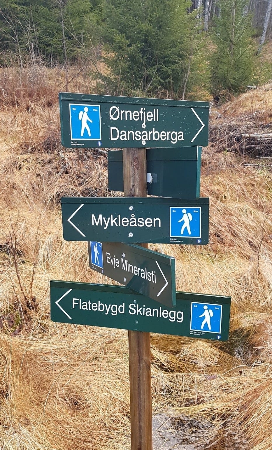 Noen av mange merkede løyper Galleribilde