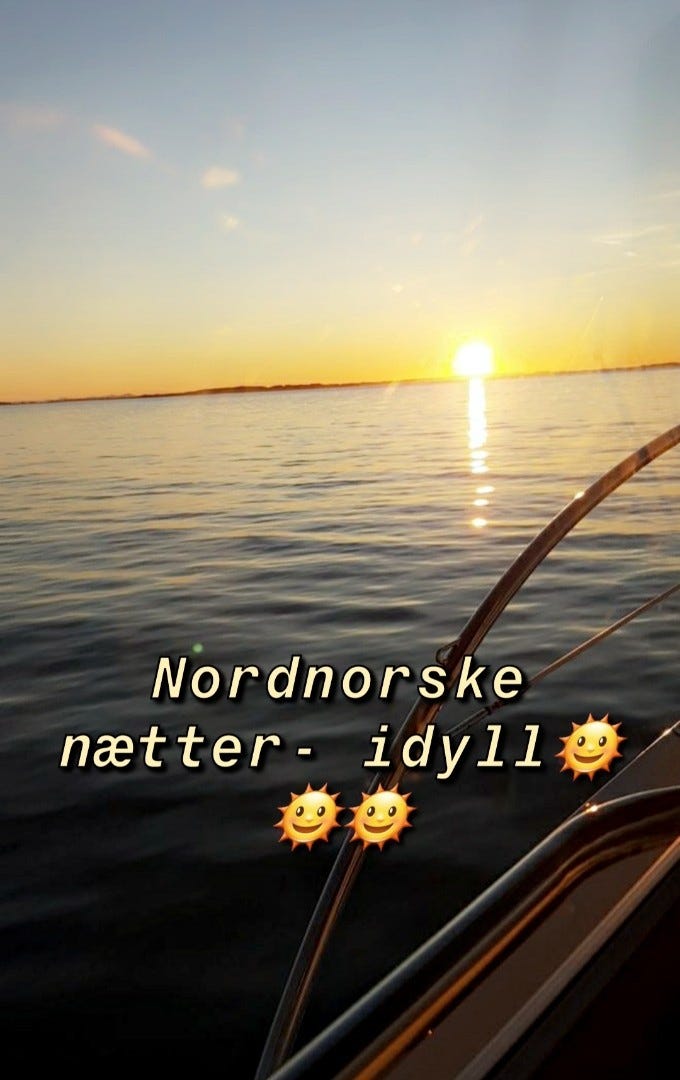 Nattfiske Galleribilde