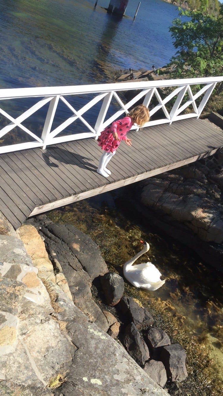 Gangbrua live Galleribilde