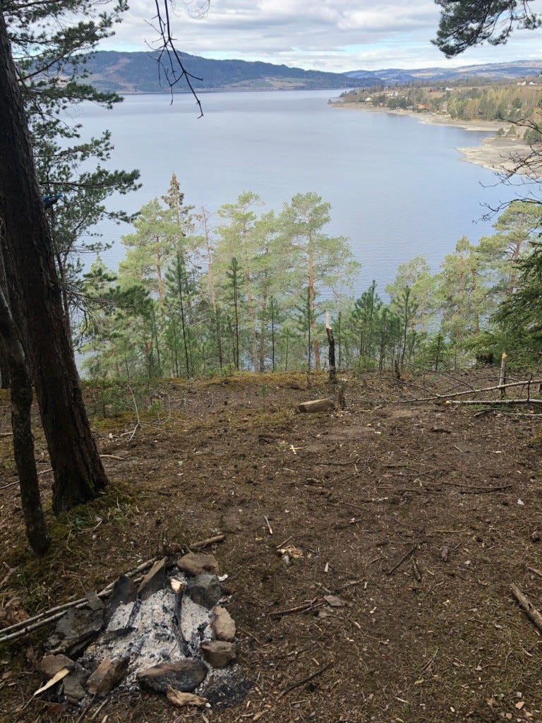 Furuberget naturreservat. Galleribilde