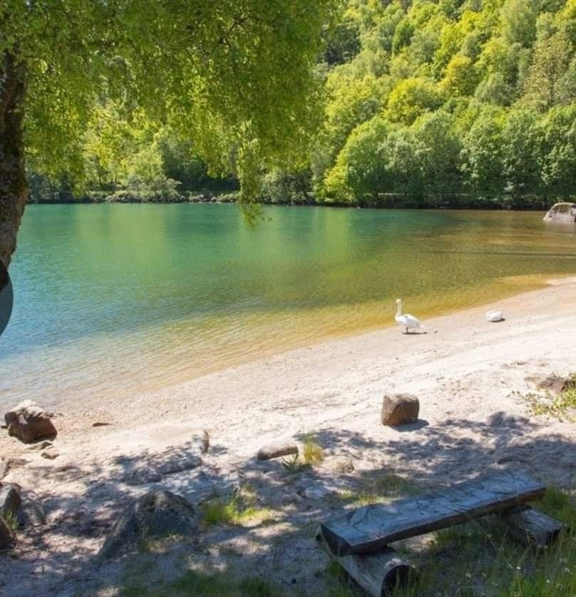 Privat strand for hyttefeltet Galleribilde