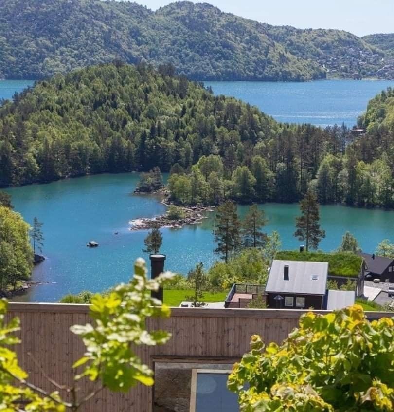 Utsikt over hyttefeltet Galleribilde