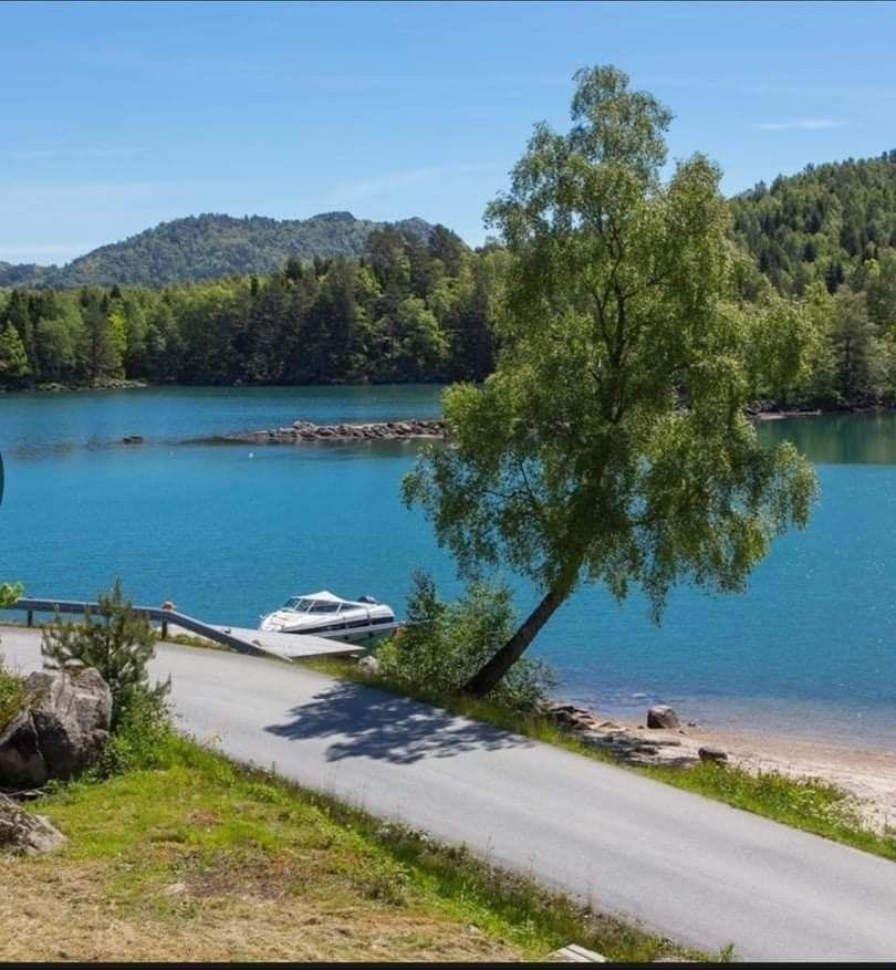 Privat strand for hyttefeltet Galleribilde