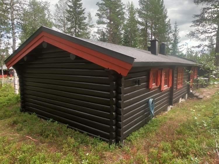 Utevann Galleribilde
