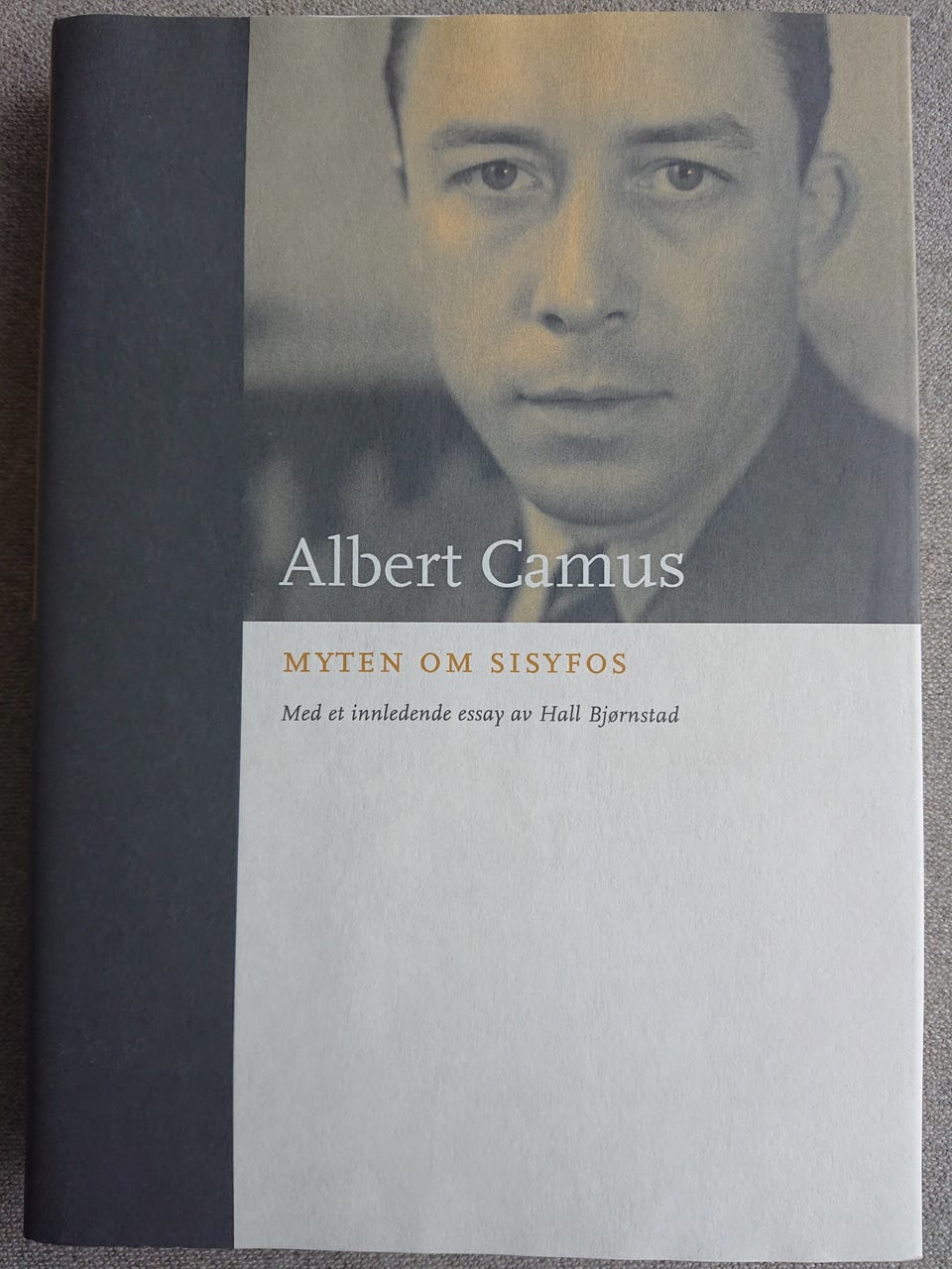 Understanding popular music culture av Roy Shuker | FINN-torget