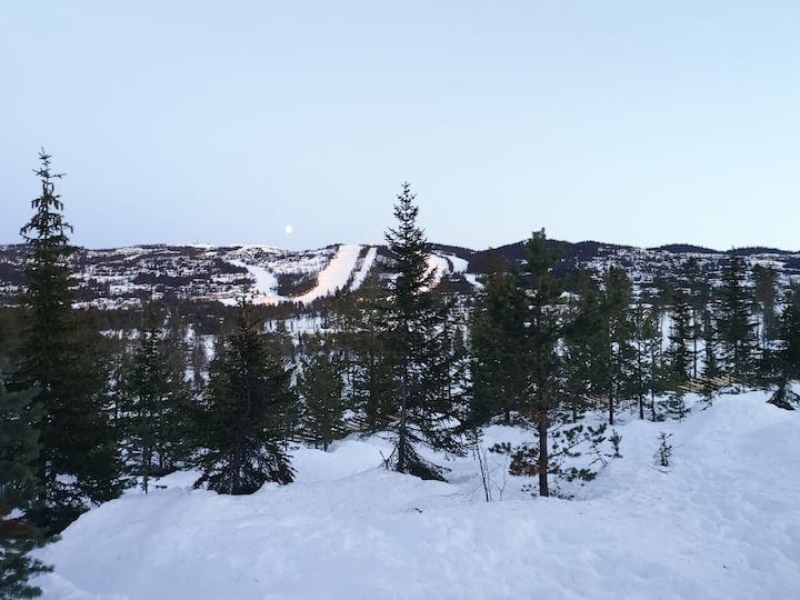 Utsikt fra stue og uteplass Galleribilde