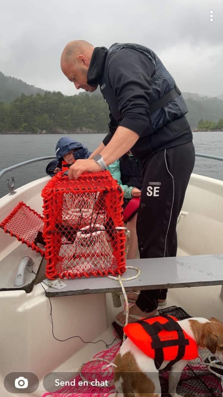 Mulig å låne krabbeteiner Galleribilde